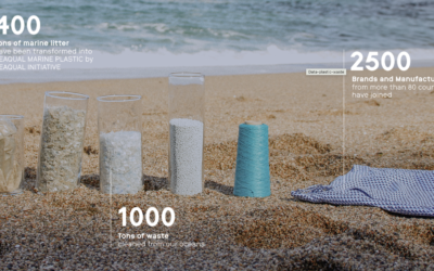 Inspirant acció: l’AdEM i Seaqual activen Platja d’Aro per un mar lliure de plàstic