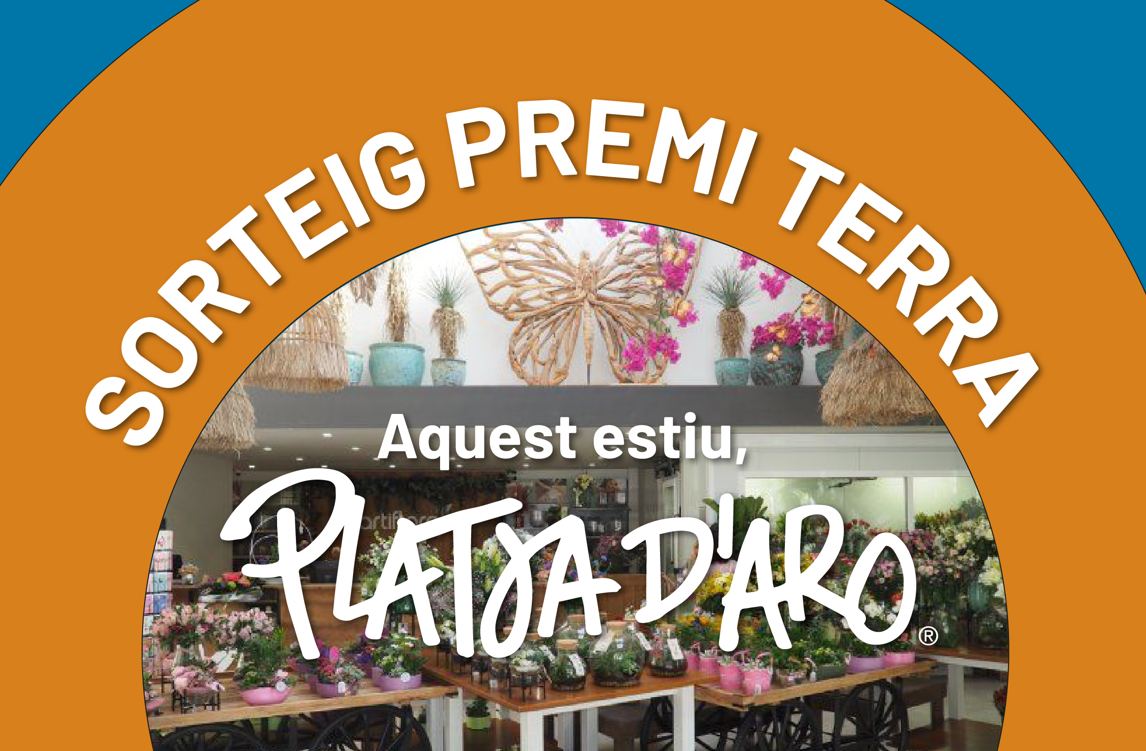 Web Sorteig Terra